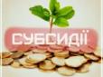 Чи отримають українці субсидії в цьому році?