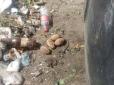 На сміттєвому майданчику у Львові знайшли бойові гранати (фото)