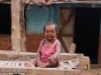 Історія життя найменшого коротуна Індії (фото)