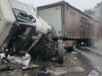 Замовив місце й не поїхав: Чоловік, якого визнали загиблим і шукали серед месива тіл у ДТП із фурою на Чернігівщині, виявився живим