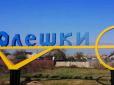 Поки що неофіційно: Арестович підтвердив деокупацію Олешок (відео)